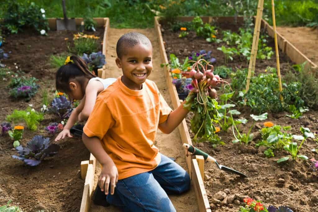 menino sorrindo segurando batatas que colheu em horta para crianças