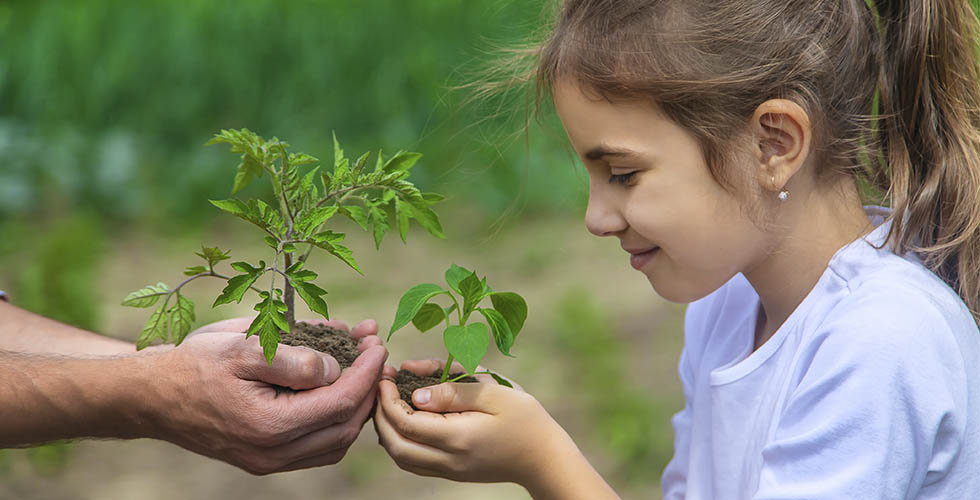 Criança com muda de planta na mão
