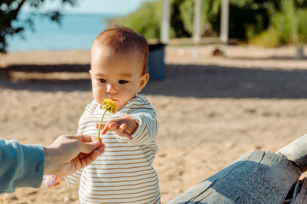 Imagem de um bebê brincando com uma flor na praia