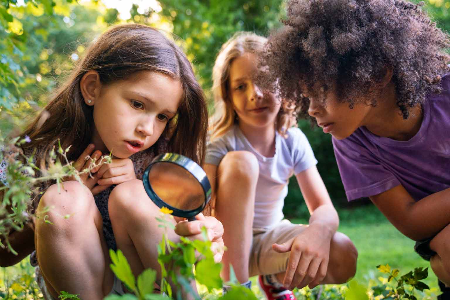 Foto de crianças olhando plantas com uma lupa