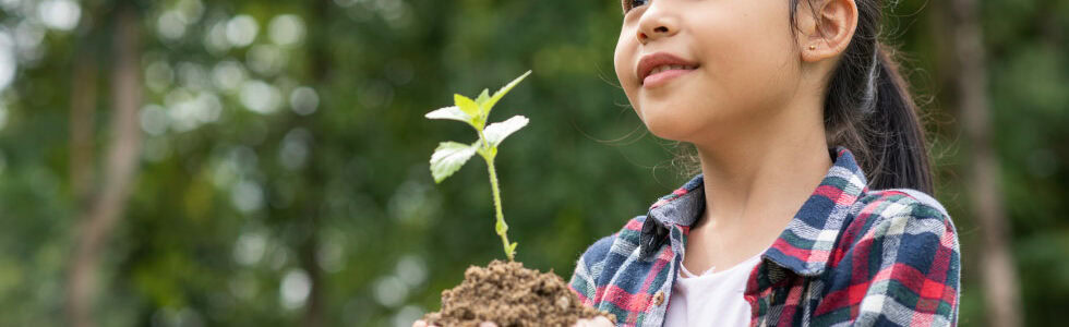 Imagem de criança segurando muda de planta